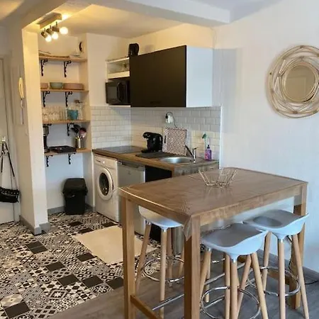 Appt 2 Pieces Port - Mega Terrasse + Garage Frejus